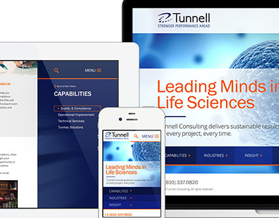 Tunnell Consulting
